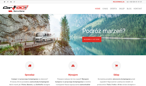 projektowanie sklepów www